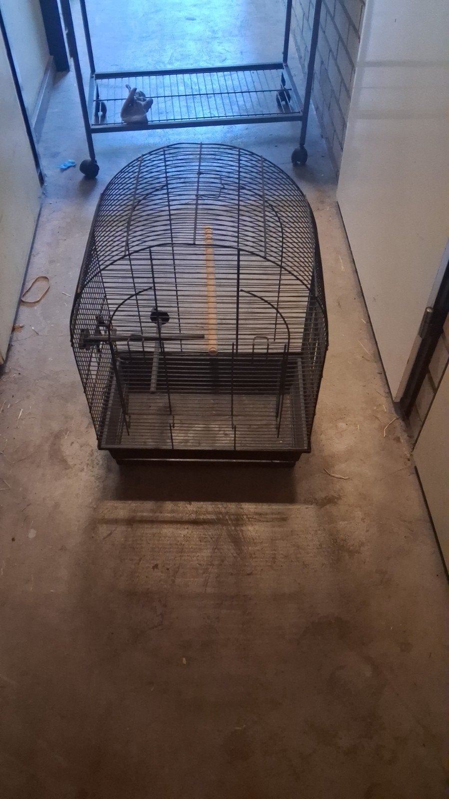 kooi, Dieren en Toebehoren, Ophalen of Verzenden