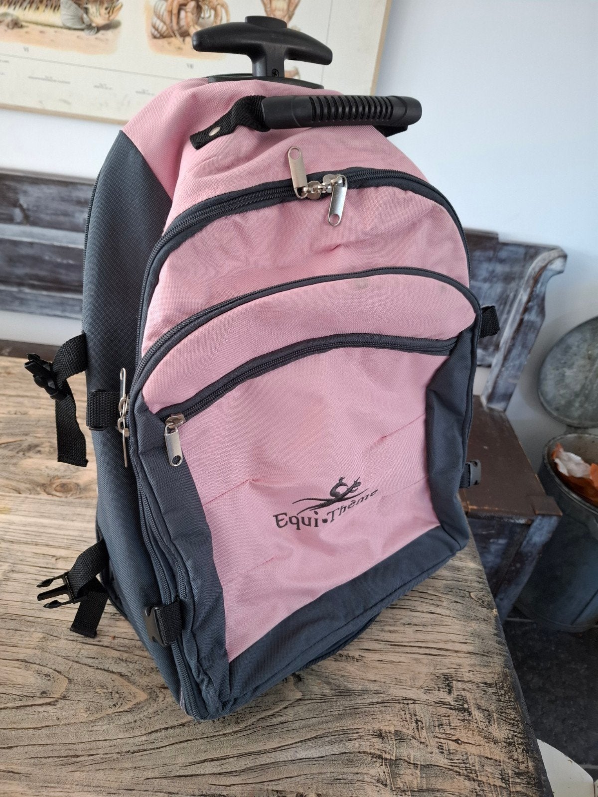 Equi-Thème Rugzak Trolley - Handbagage Formaat, Gebruikt, 25 tot 40 cm, Ophalen of Verzenden, Overige merken