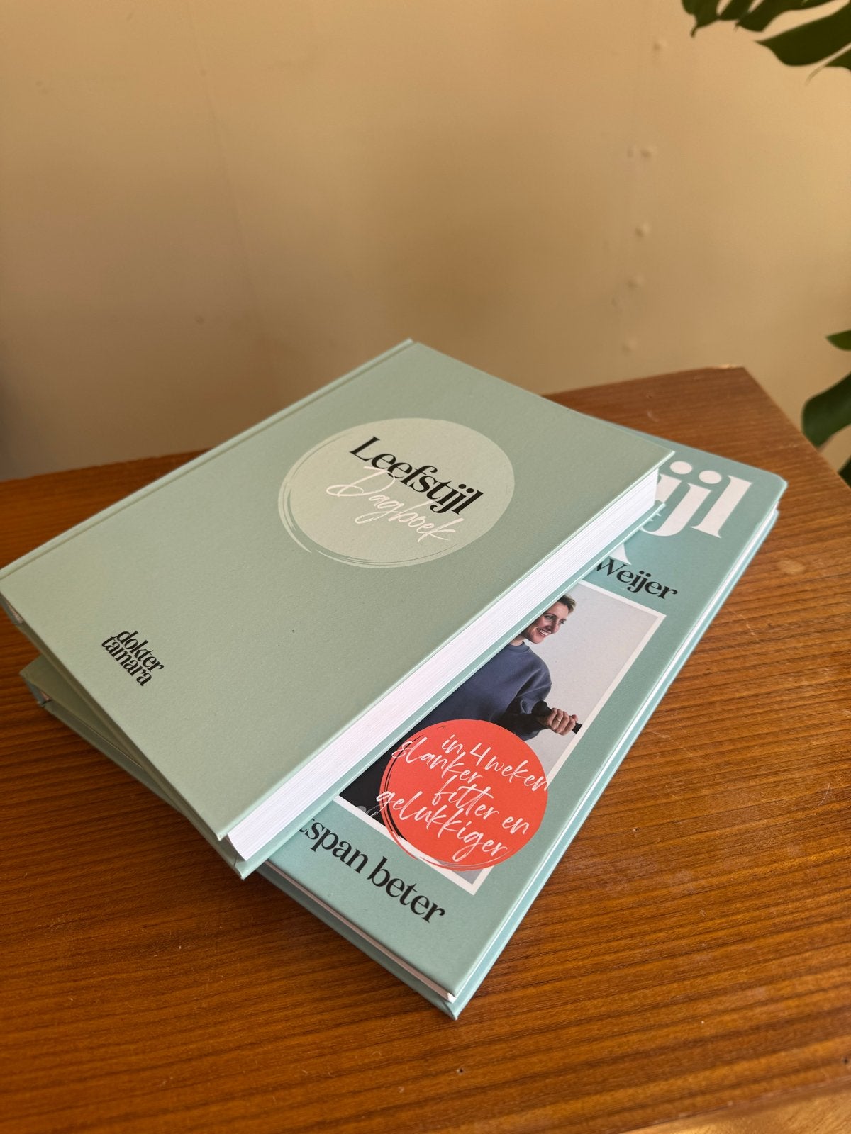 Het Leefstijlboek + Leefstijl Dagboek - Nieuw met handtekeni, Ophalen of Verzenden, Nieuw, Gezondheid en Conditie