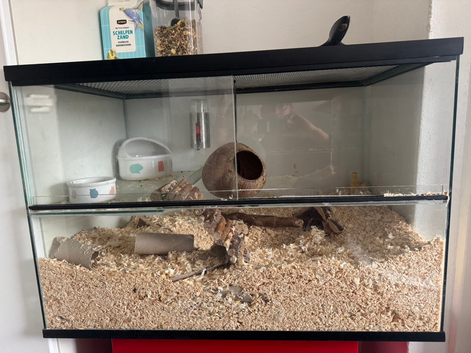 Gerbilarium, gerbil, muis, hamster, rat…., Dieren en Toebehoren, Kooi, Gebruikt, Minder dan 75 cm, Muis