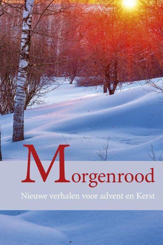 Morgenrood Janny den Besten 9789087181185, Ophalen of Verzenden, Zo goed als nieuw, Janny den Besten, Christendom | Protestants