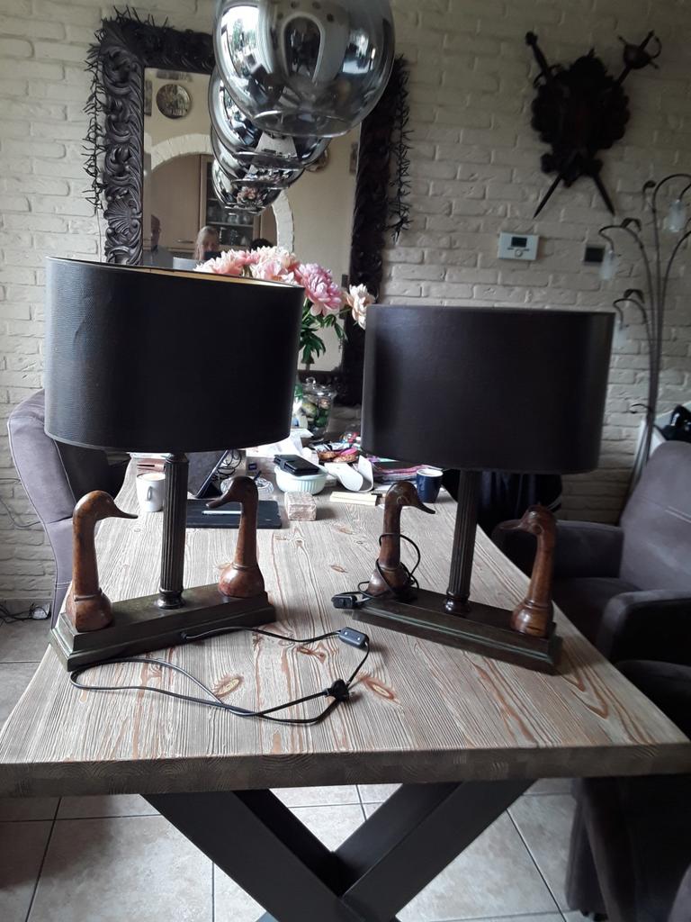 Eenden 2 mooie lampen, Bruin, Rond, Ophalen of Verzenden, Zo goed als nieuw