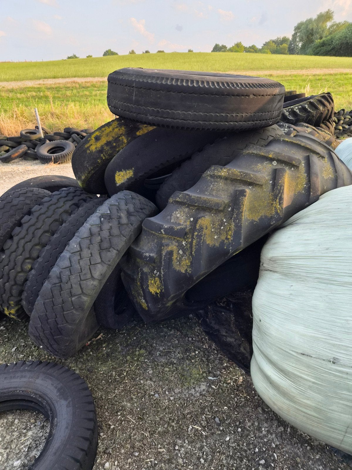 Fitness Hyrox Bootcamp banden tractor vrachtwagen autobanden, Ophalen