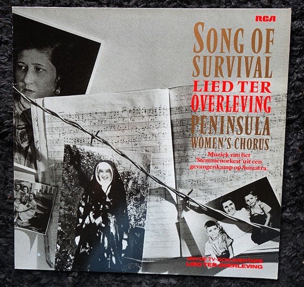 Peninsula Women's  Song Of Survival – Lied Ter Overleving lp, LP, Zo goed als nieuw, Soundtrack of Musical, 12 inch