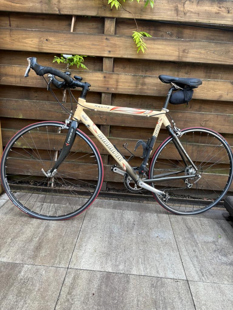 Nette racefiets, Carbon, 10 tot 15 versnellingen, Heren, 53 tot 57 cm