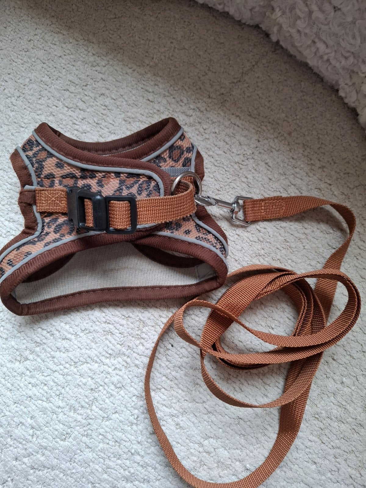 honden tuigje met riem + loopsheid broekjes, Dieren en Toebehoren, Honden-accessoires, Ophalen