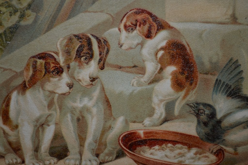 frankrijk 1907 drie hondjes en vogel, Ophalen of Verzenden, Voor 1920, Ongelopen, Sterren en Beroemdheden