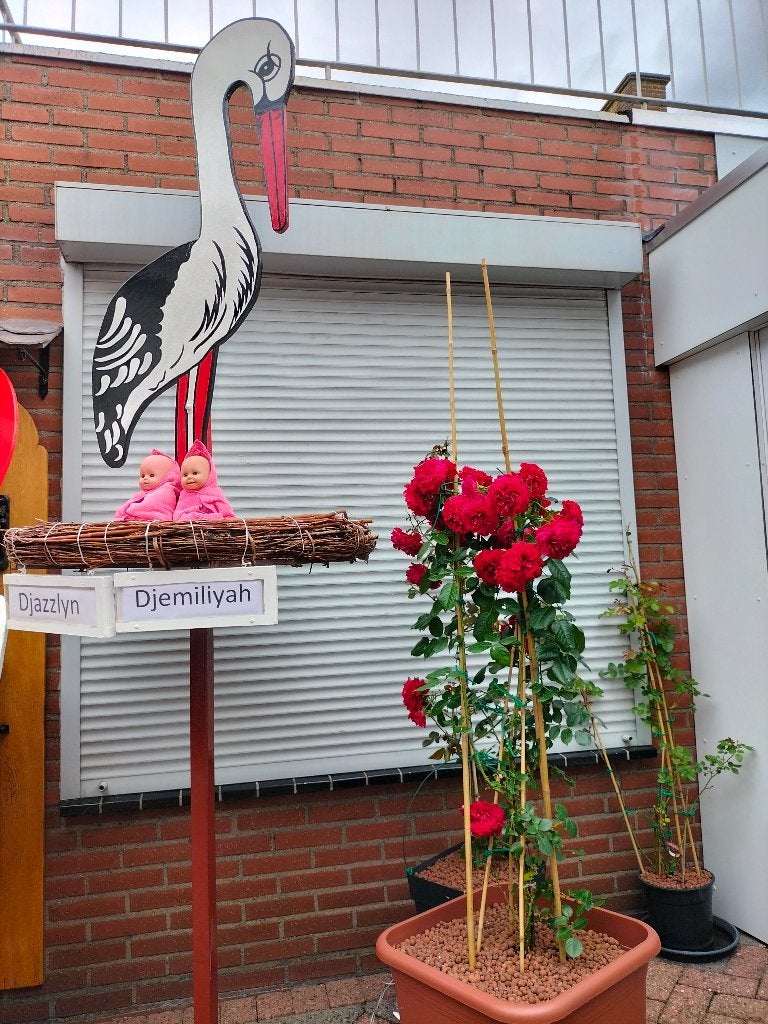 Geboorteborden de mooste en goedkoopste grootste keuze., Ophalen, Nieuw, Geboortebord