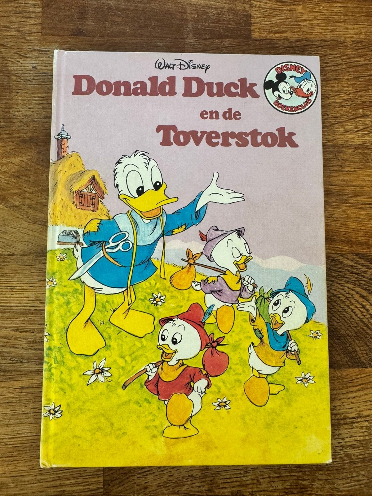 Boek Donald Duck en de toverstok - Walt Disney, Jongen of Meisje, Ophalen of Verzenden, Zo goed als nieuw, Voorleesboek