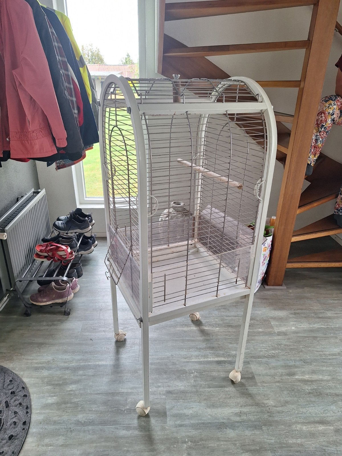 papagaaien kooi op wieltjes supper mooie., Ophalen of Verzenden, Zo goed als nieuw, Metaal, Vogelkooi