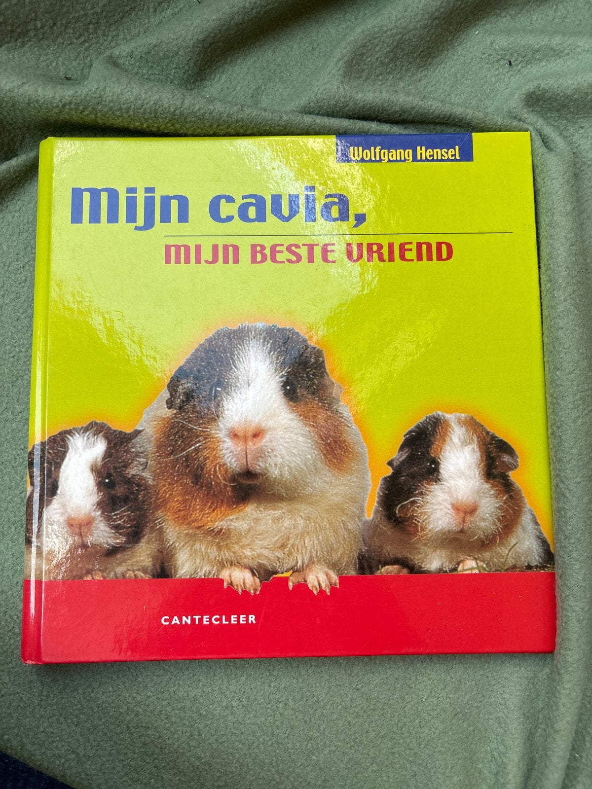 Mijn Cavia, Mijn Beste Vriend - Boek over cavia's, Ophalen, Zo goed als nieuw, Konijnen of Knaagdieren