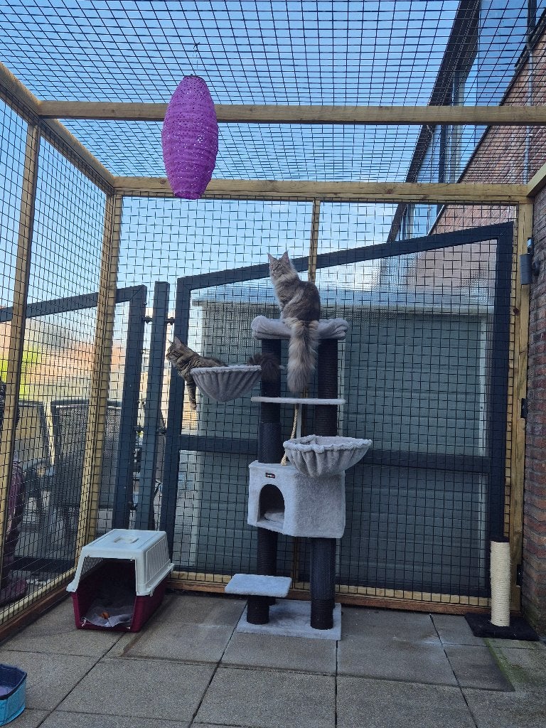 Kattenren Berkel | Maatwerk | Duurzame materialen, Dieren en Toebehoren, Katten-accessoires, Ophalen of Verzenden, Nieuw