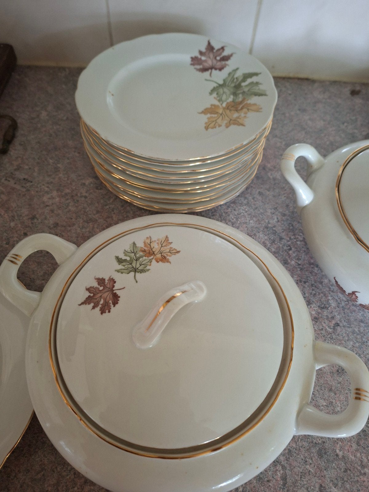 Vintage Servies met Herfstbladeren - Compleet Diner, Gebruikt, Keramiek, Ophalen of Verzenden, Overige stijlen