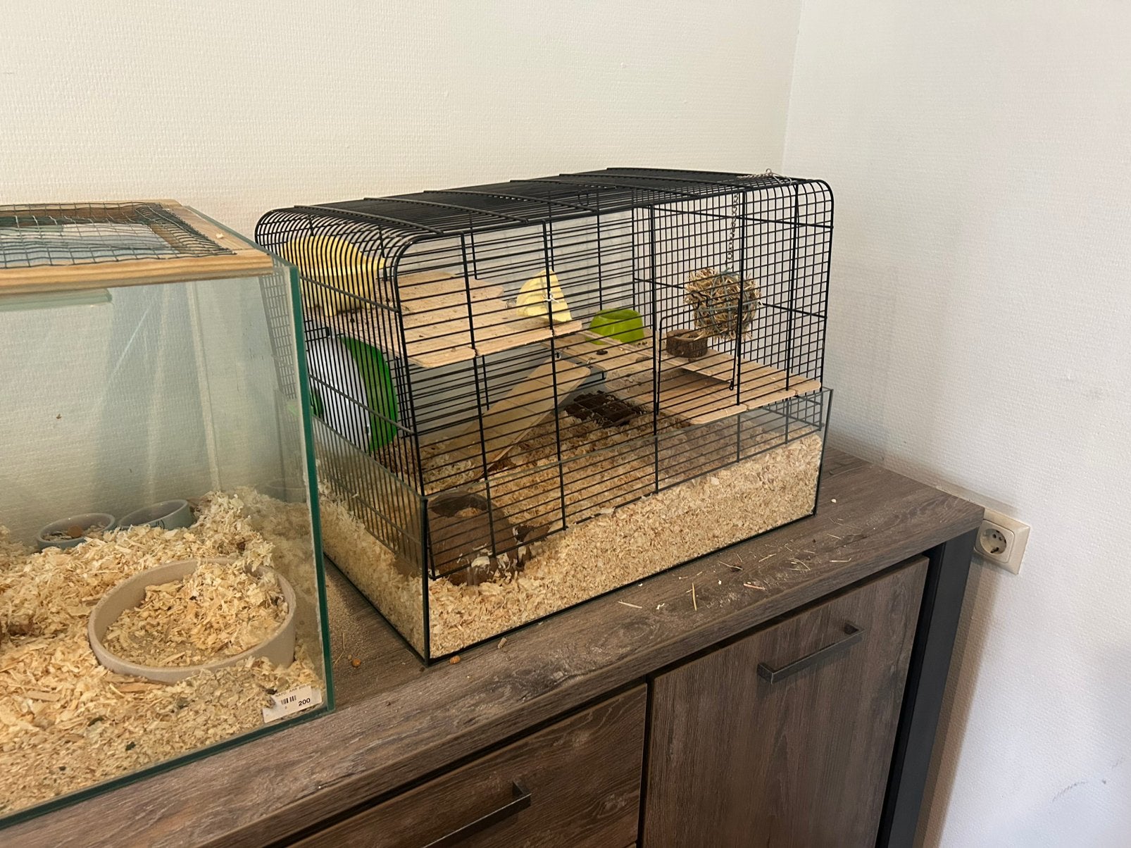 Gratis hamsters, Dieren en Toebehoren, Knaagdieren en Konijnen | Hokken en Kooien, Kooi, Minder dan 75 cm, Zo goed als nieuw, Hamster