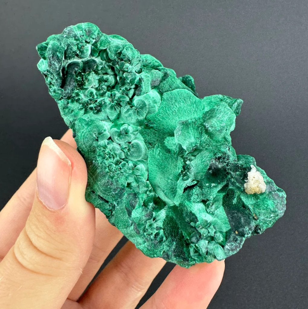 Malachiet (Fluweel) uit Congo, Ophalen of Verzenden, Mineraal