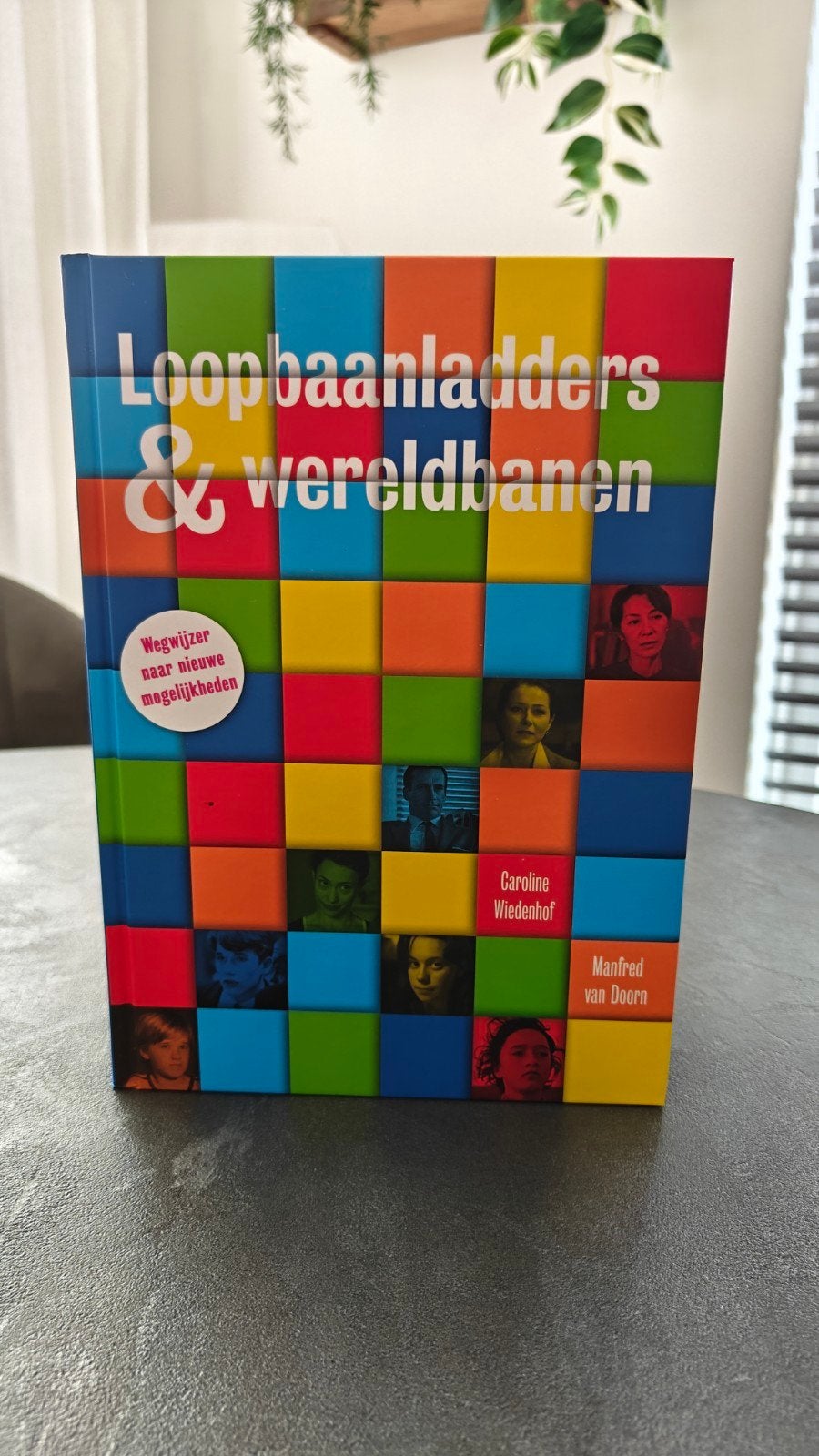 Loopbaanladders & Wereldbanen, Ophalen of Verzenden, Nieuw, Persoonlijkheidsleer, Caroline Wiedenhoff