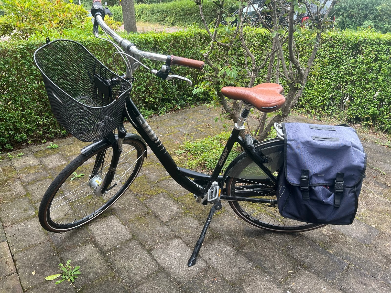 Giant ultimo fiets met mandje en zonder fietstas, Fietsen en Brommers, Fietsen | Dames | Damesfietsen, Ophalen, Velgrem, Versnellingen