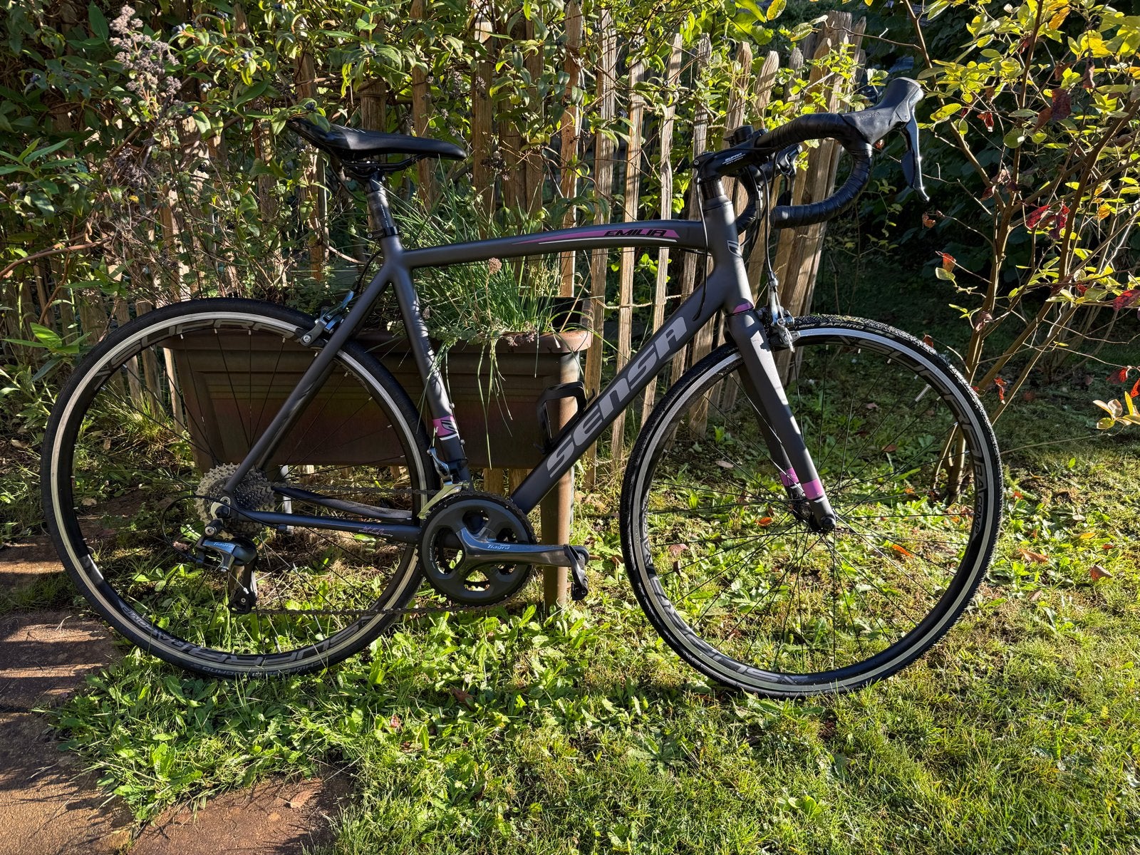 Sensa Emilia Dames Racefiets, Ophalen, Gebruikt, Dames, Overige merken
