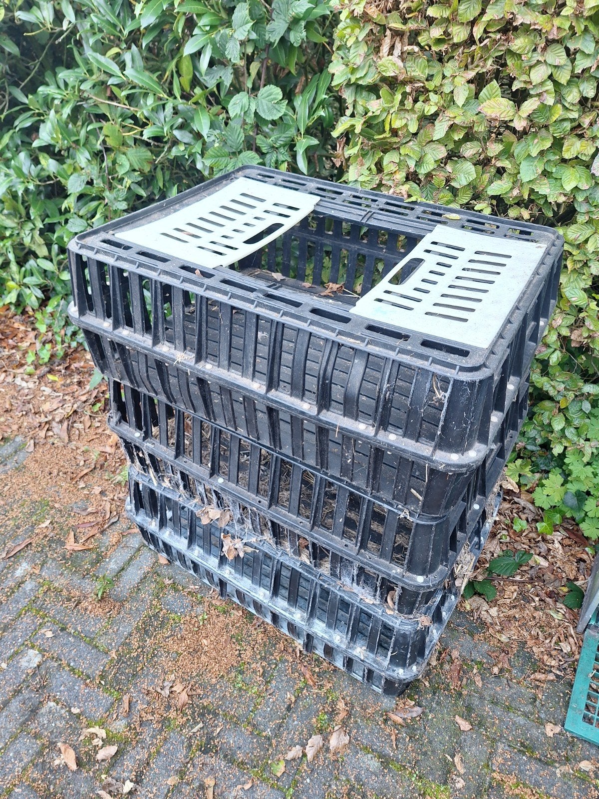 Transportkisten pluimee - transportkrat, Ophalen, Gebruikt, Overige typen