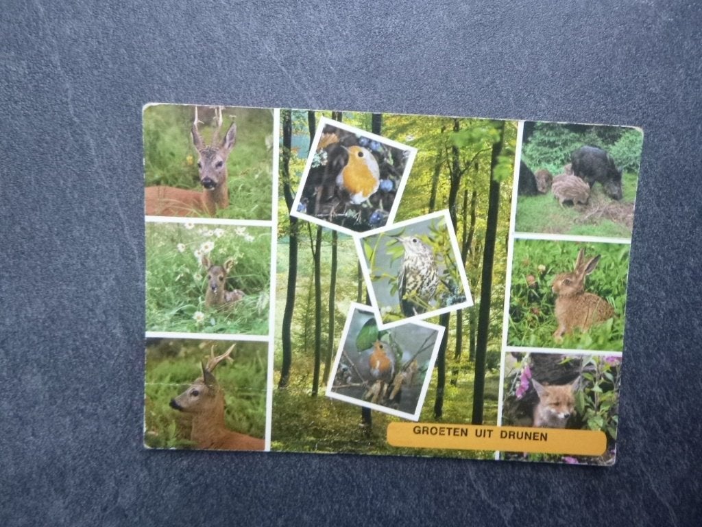 groeten uit Drunen, bos/dieren 1977, Verzenden, 1960 tot 1980, Gelopen, Gelderland