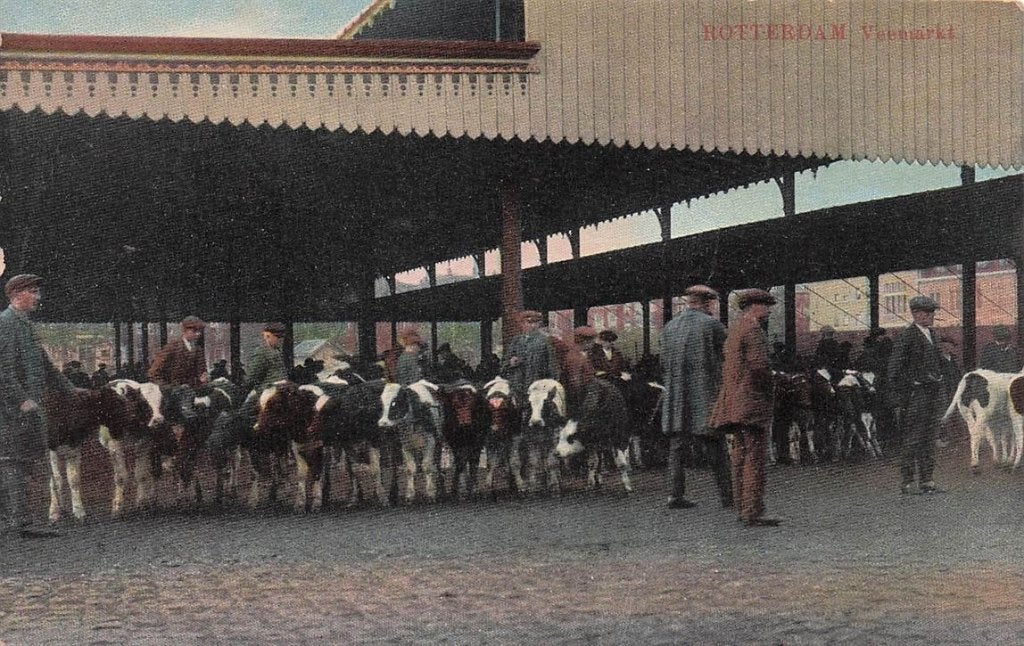 703-061-017 Rotterdam Veemarkt, Ophalen of Verzenden, Voor 1920, Zuid-Holland
