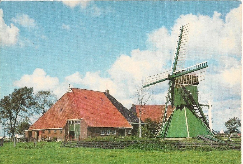 Oppenhuizen: Spinnenkop met boerderij - Mooi Friesland, Ophalen of Verzenden, 1960 tot 1980, Ongelopen, Friesland