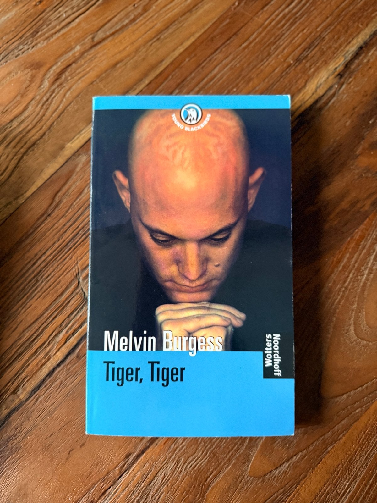 Melvin Burgess - Tiger, Tiger (Young Blackbirds), Verzenden, Zo goed als nieuw, Fictie