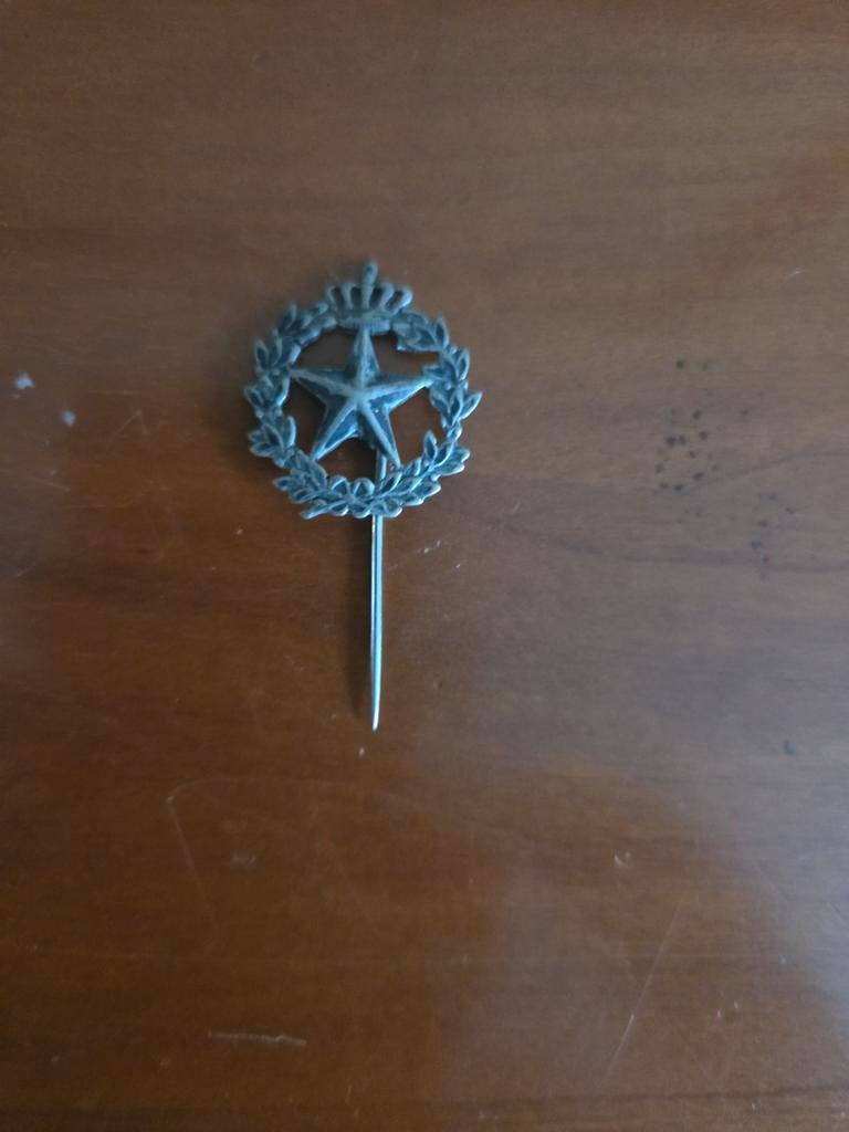 WW2 Speldje met Ster en Kroon - Militair Verzamelobject, Verzamelen, Militaria | Tweede Wereldoorlog, Ophalen of Verzenden, Embleem of Badge