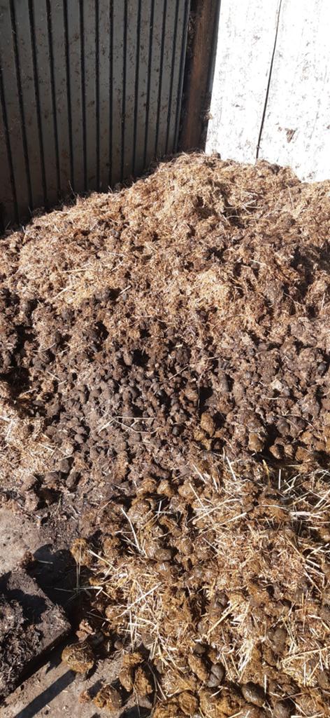 Gratis paardenmest, Tuin en Terras, Aarde en Mest, Ophalen, Tuinaarde