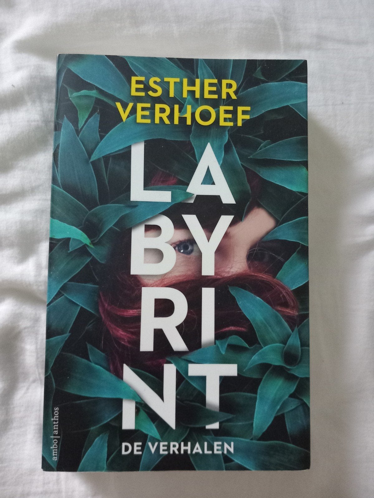 Esther Verhoef Labyrint de verhalen, Boeken, Ophalen of Verzenden, Zo goed als nieuw