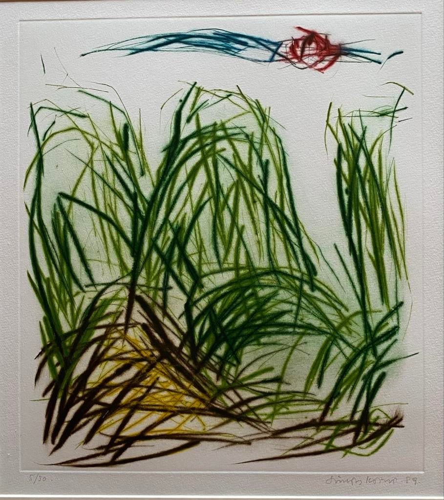 Abstracte kleurets van Simon Koene, 1989, handgesigneerd, Antiek en Kunst, Ophalen, Ets, Genummerd, 1950 - 1999