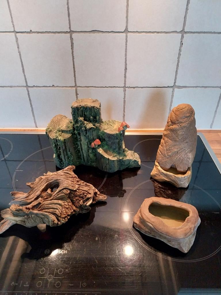 Terrarium toebehoren, Dieren en Toebehoren, Ophalen