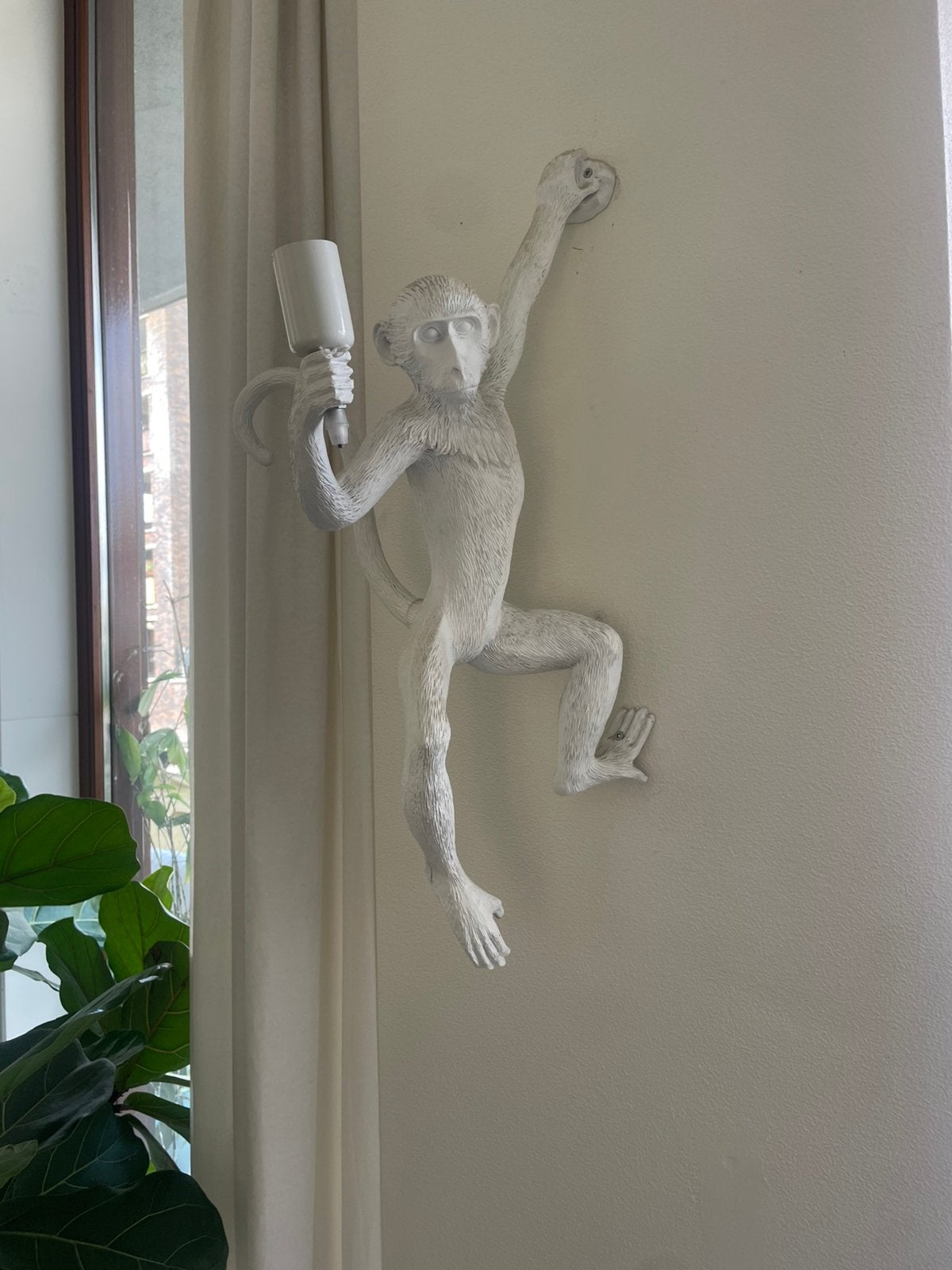 Lamp aap, Ophalen, Gebruikt