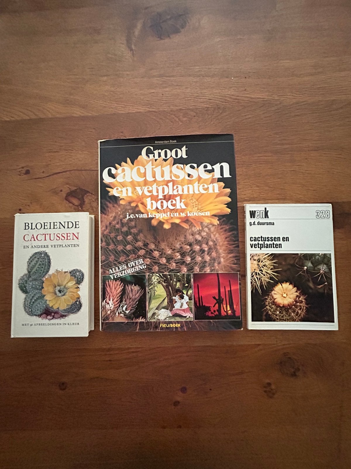 3 boeken over cactussen en vetplanten, Ophalen of Verzenden, Zo goed als nieuw, Overige onderwerpen