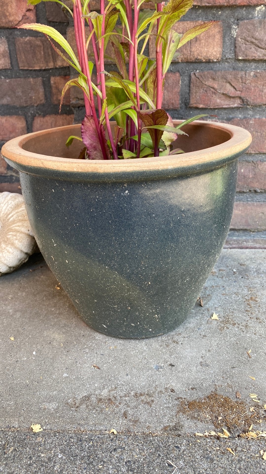 Gezocht: blauwe buitenpotten omgeving Rossum Ov., Gebruikt, Rond, Minder dan 40 cm, Aardewerk