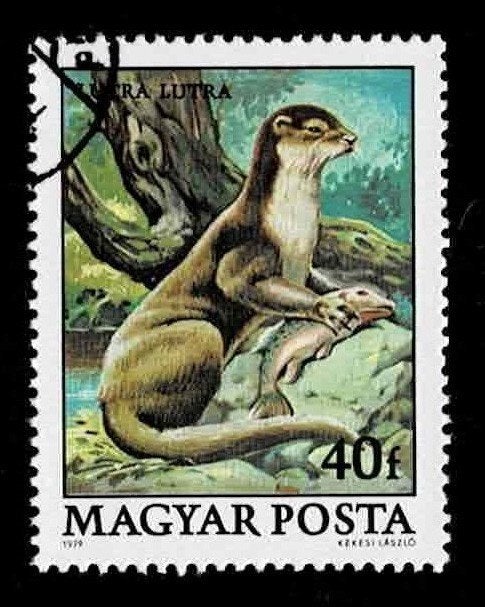 postzegel 2690 Hongarije dieren Otter, Ophalen of Verzenden, Gestempeld
