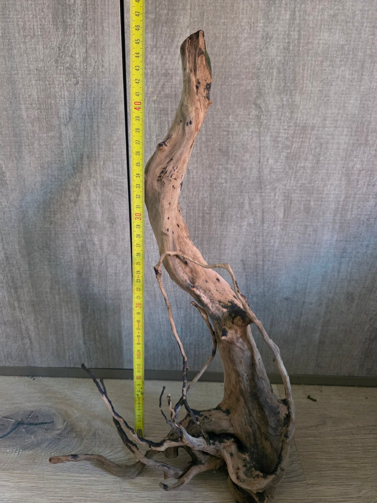 spiderwood, Ophalen