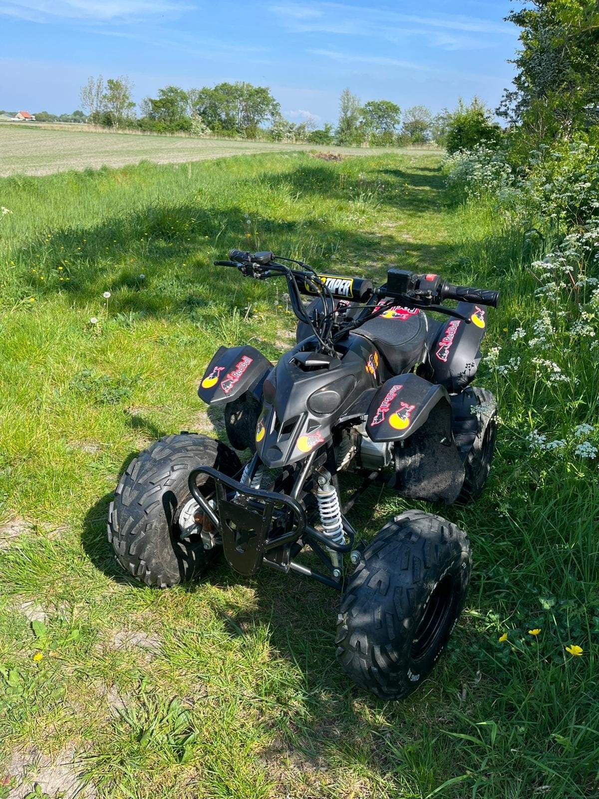 Quad 125cc, Fietsen en Brommers, Ophalen, Overige merken
