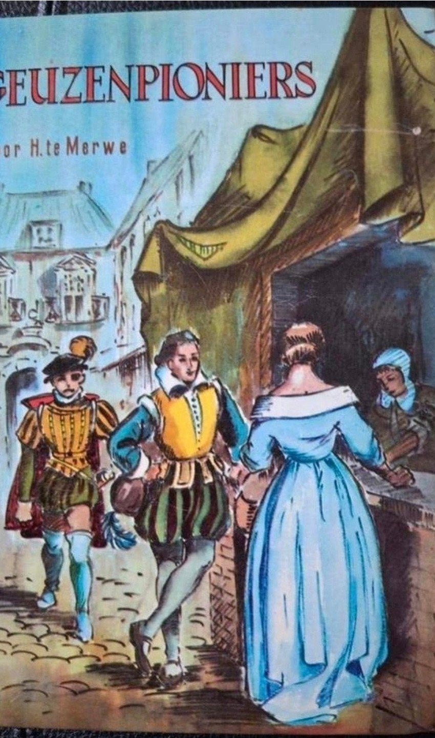 Geuzenpioniers - H. te Merwe, Boeken, Gelezen, Ophalen of Verzenden, 17e en 18e eeuw, Zie beschrijving