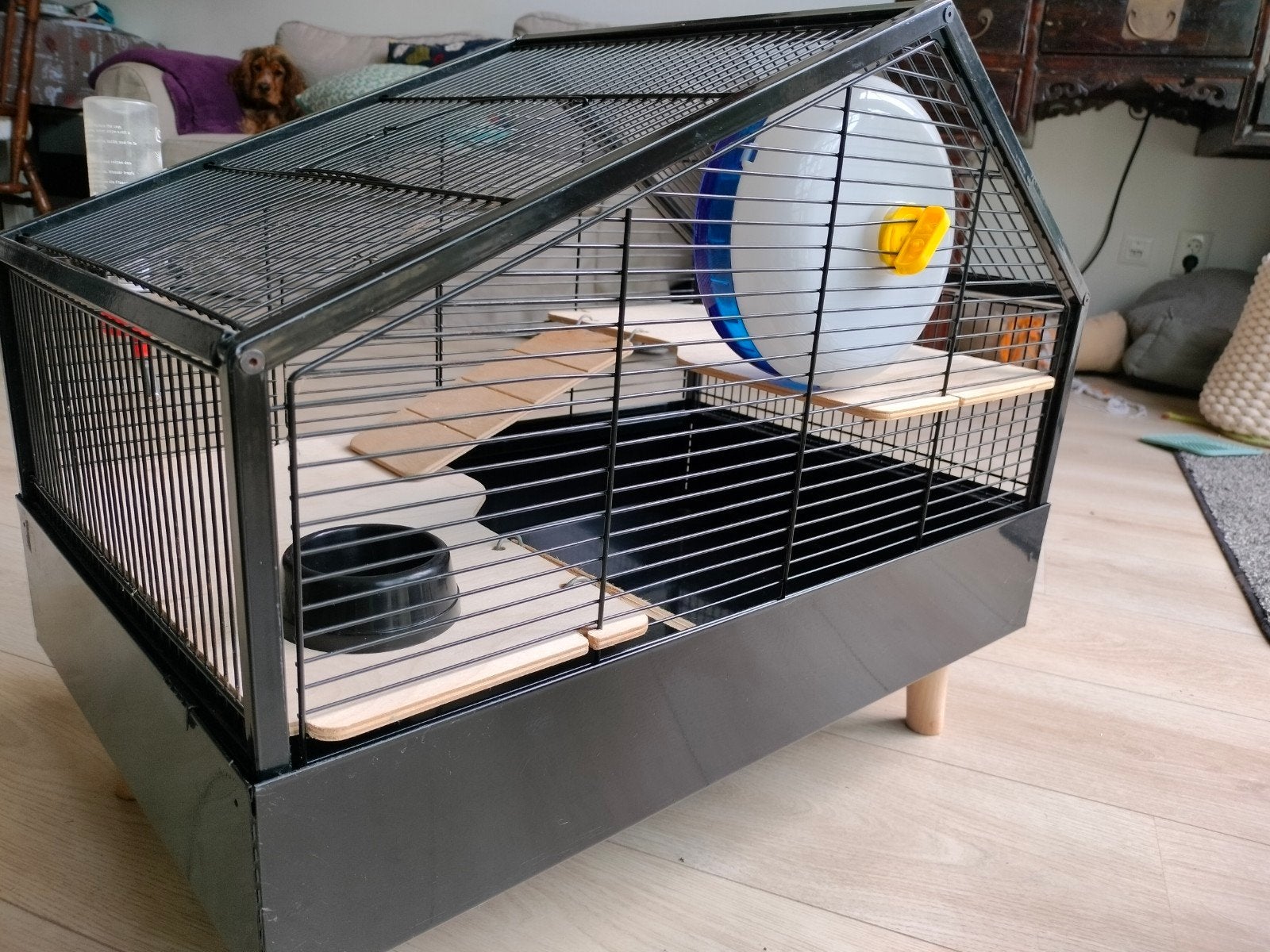 Leuke hamster hok van beeztees, Minder dan 60 cm, Gebruikt, Minder dan 75 cm, Ophalen of Verzenden