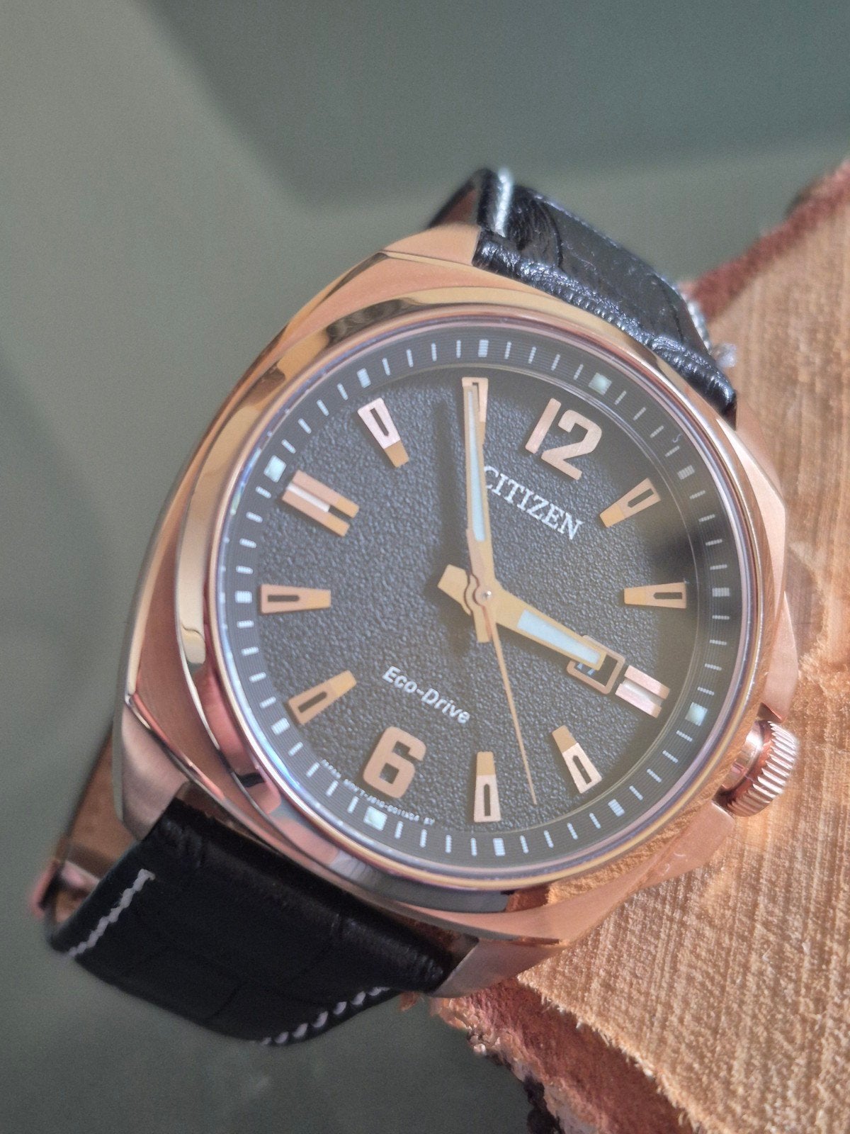 Citizen Endicott AW1723-02E, Staal, Ophalen of Verzenden, Leer, Gebruikt