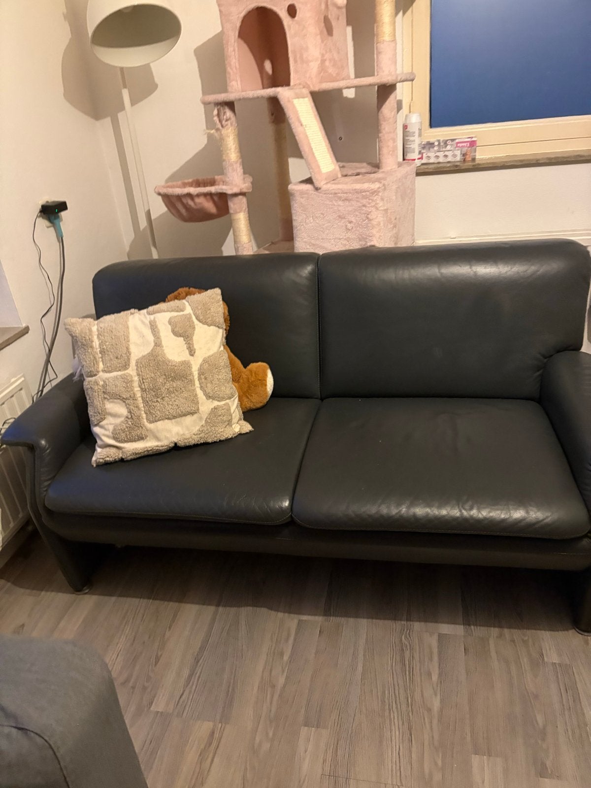Gratis: 2-zits leren bank met kattenkrassen, Huis en Inrichting, Banken | Bankstellen, Ophalen, Gebruikt, Tweepersoons, Rechte bank