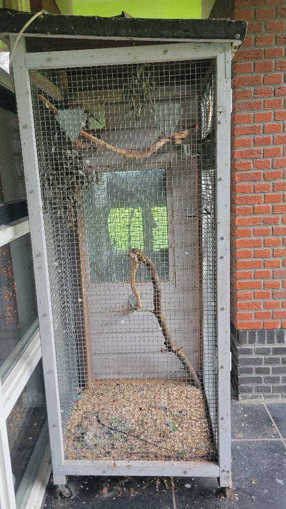 Buitenvoliere, buitenkooi vogels,  vogelkooi, voliere, Dieren en Toebehoren, Ophalen, Gebruikt, Hout, Volière