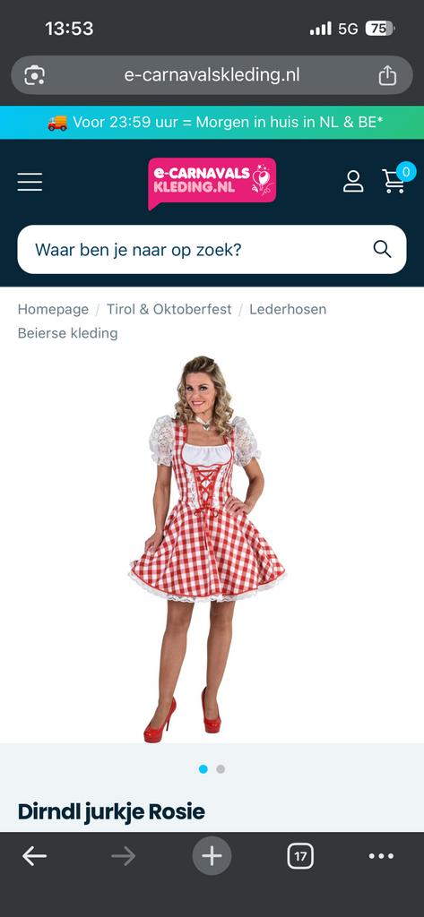 Dirdnl jurkje oktoberfest rosie, Kleding | Dames, Carnavalskleding en Feestkleding, Ophalen of Verzenden, Zo goed als nieuw, Maat 46/48 (XL) of groter