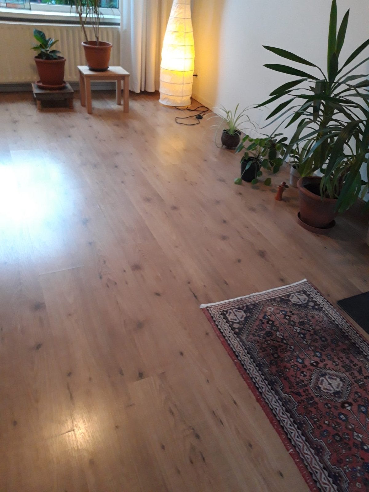 Laminaat: 28m² houtnerf en 25m² wit - Gratis afhalen, Doe-het-zelf en Verbouw, Ophalen, Gebruikt, 50 tot 150 cm, 10 m² of meer