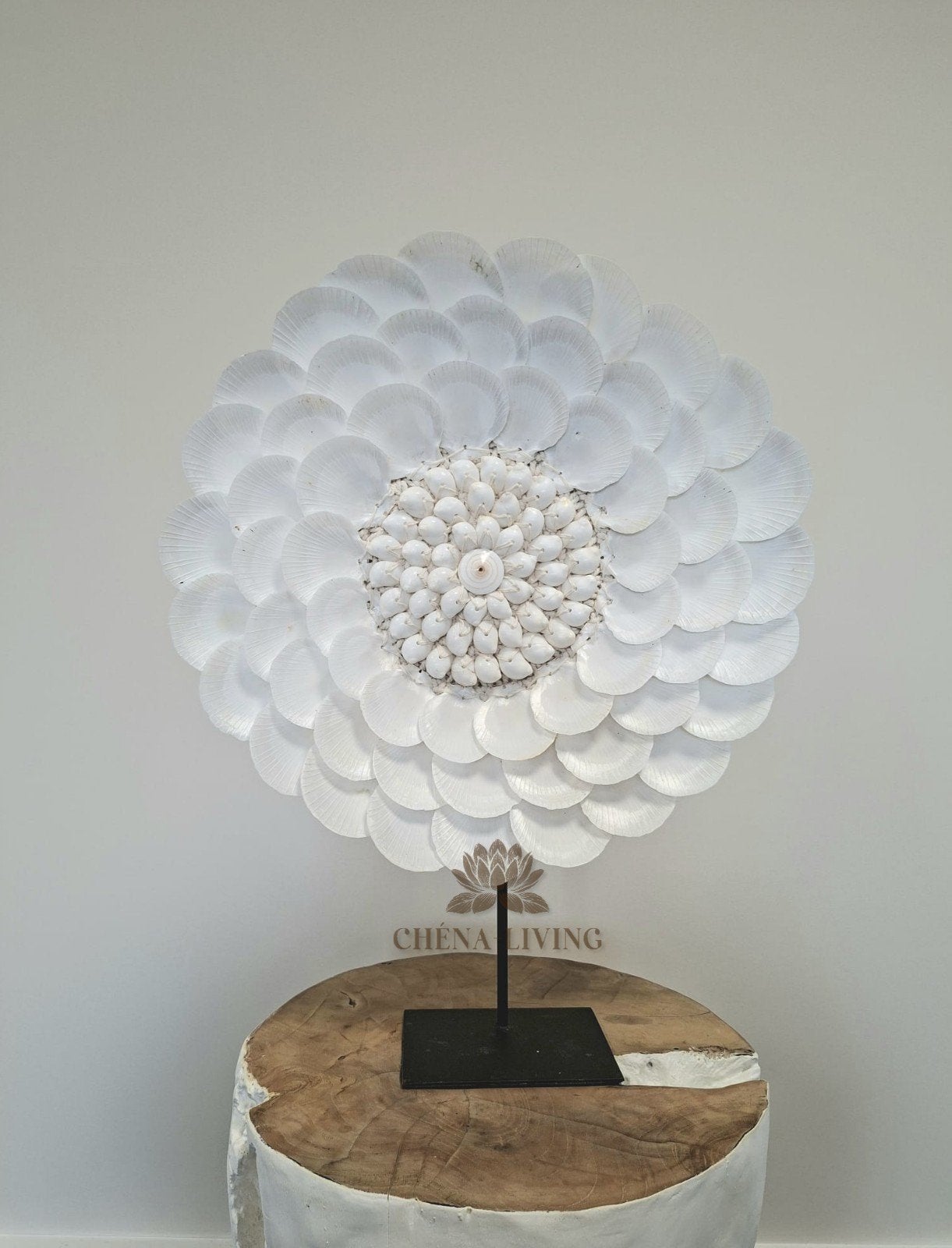 schelp ornament op standaard, Huis en Inrichting, Nieuw, Ophalen of Verzenden, Natuurlijk materiaal, Wit