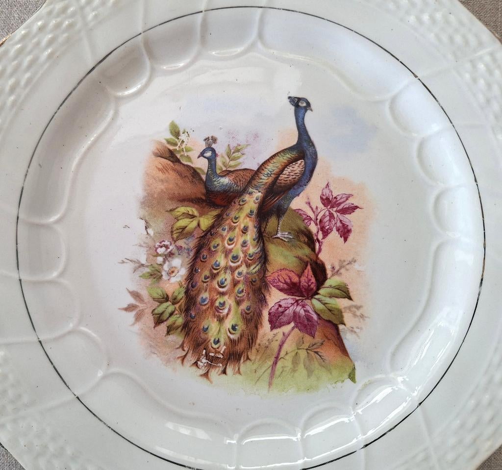 Oud bord, Pauwen, Moulin des Loups terre de fer, Antiek en Kunst, Antiek | Servies los, Ophalen of Verzenden