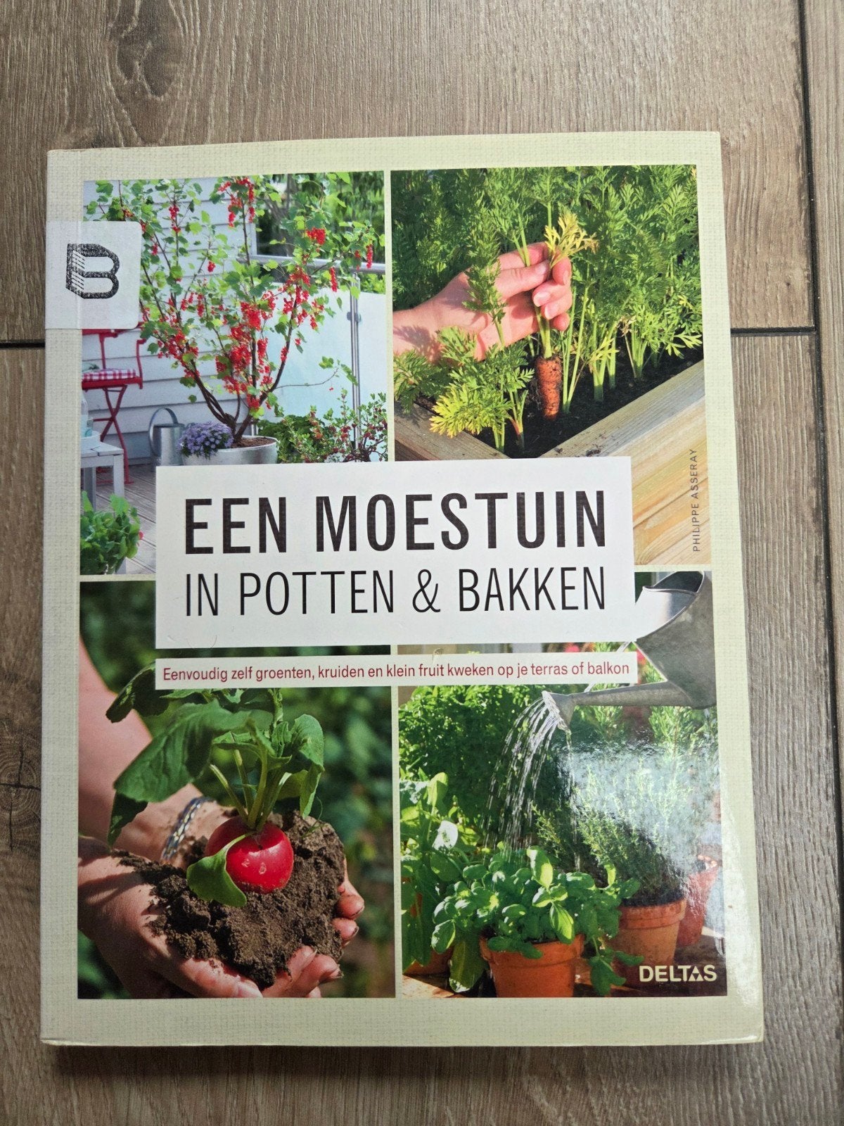 Een Moestuin in Potten & Bakken - Tuinieren op Balkon/Terras, Boeken, Ophalen of Verzenden, Zo goed als nieuw, Philippe Asseray