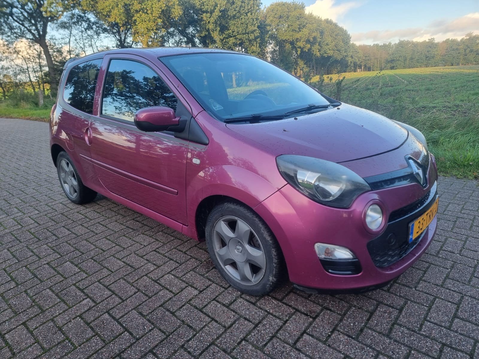 Renault Twingo 1.2 16V 2012, Voorwielaandrijving, 839 kg, Twingo, 74 pk