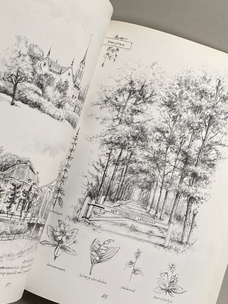 De Betuwe, land tussen rivieren (1992), Ophalen of Verzenden, 20e eeuw of later, Zo goed als nieuw